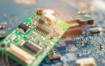 Blockchain et Écosystèmes Naturels : Quand la Technologie Sauve la Planète
