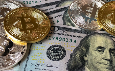 Blockchain 2024: adoption mondiale record, innovations vertigineuses, régulation encore hésitante